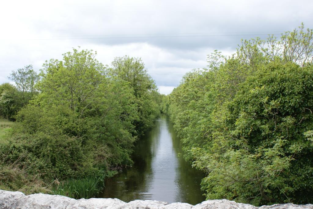 Strokestown B&B The Silver Eel المظهر الخارجي الصورة