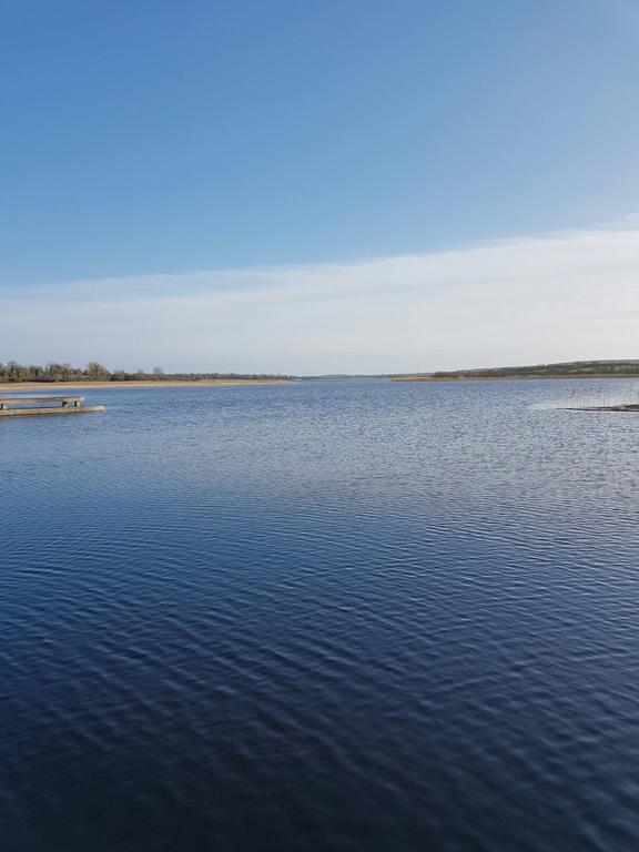 Strokestown B&B The Silver Eel المظهر الخارجي الصورة